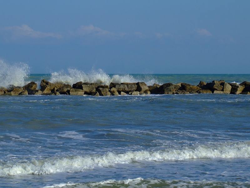 DSCF8736 p4u.jpg