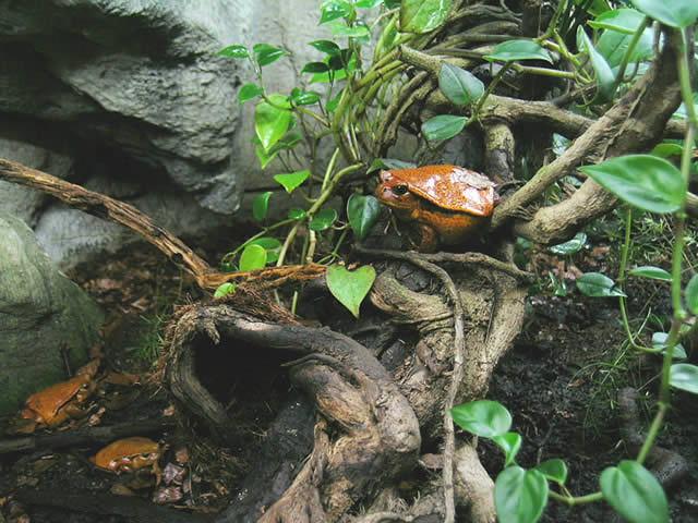 DSCN2191.jpg
