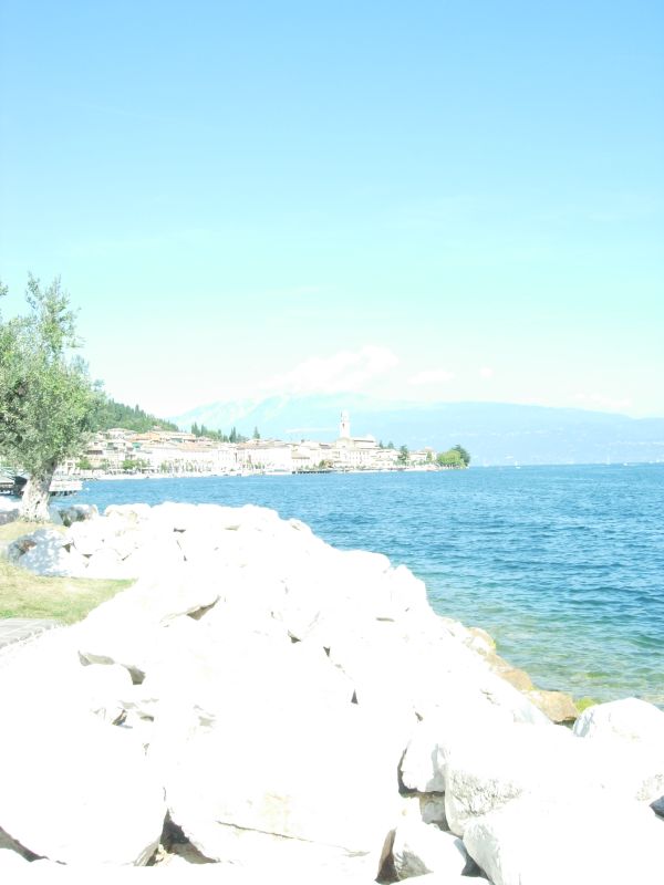 DSCN2458.jpg