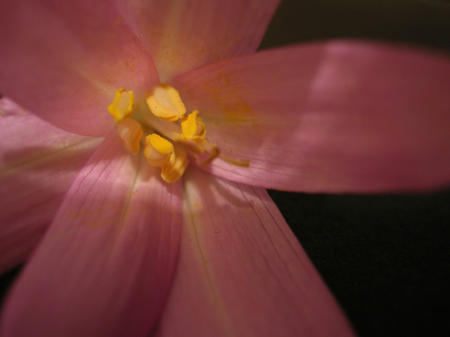 DSCN2460.jpg