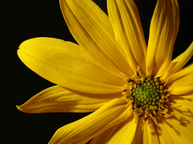 DSCN2566.jpg
