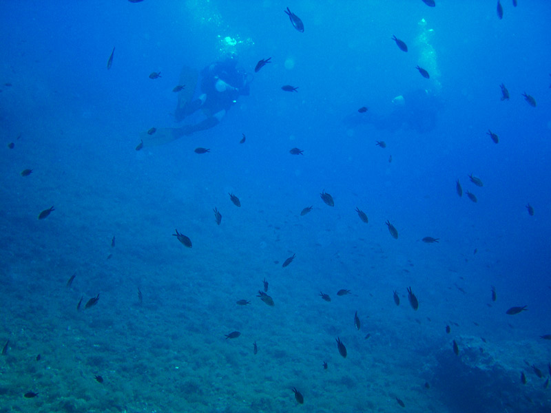 DSCN2592-in-the-blue.jpg