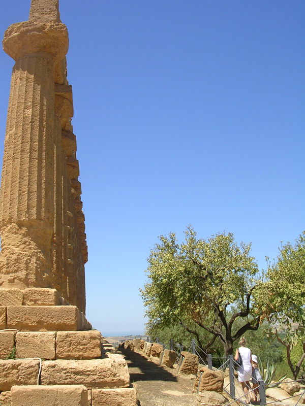 DSCN4583.jpg