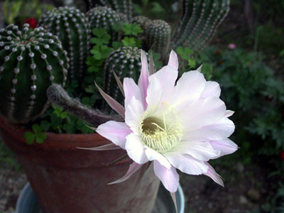 DSCN5337.jpg