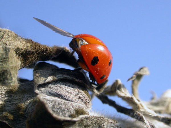 DSCN6595c-1.250-f7.5.jpg