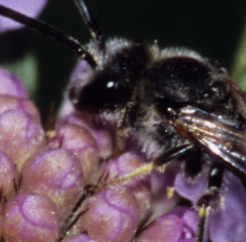 e2-crop.jpg