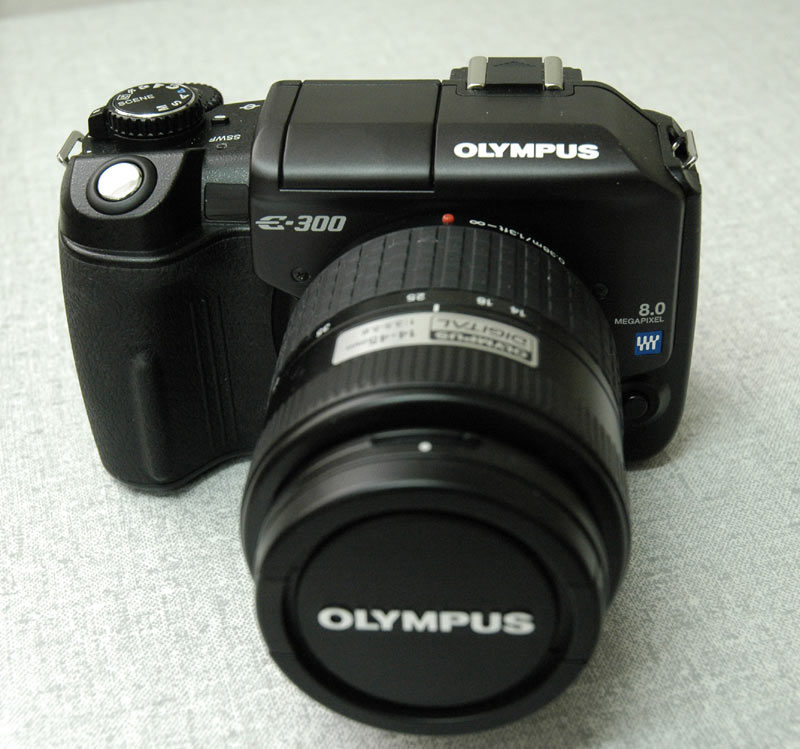 e3003.jpg