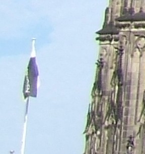 e550 12mp crop.jpg
