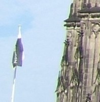 e550 6mp crop.jpg