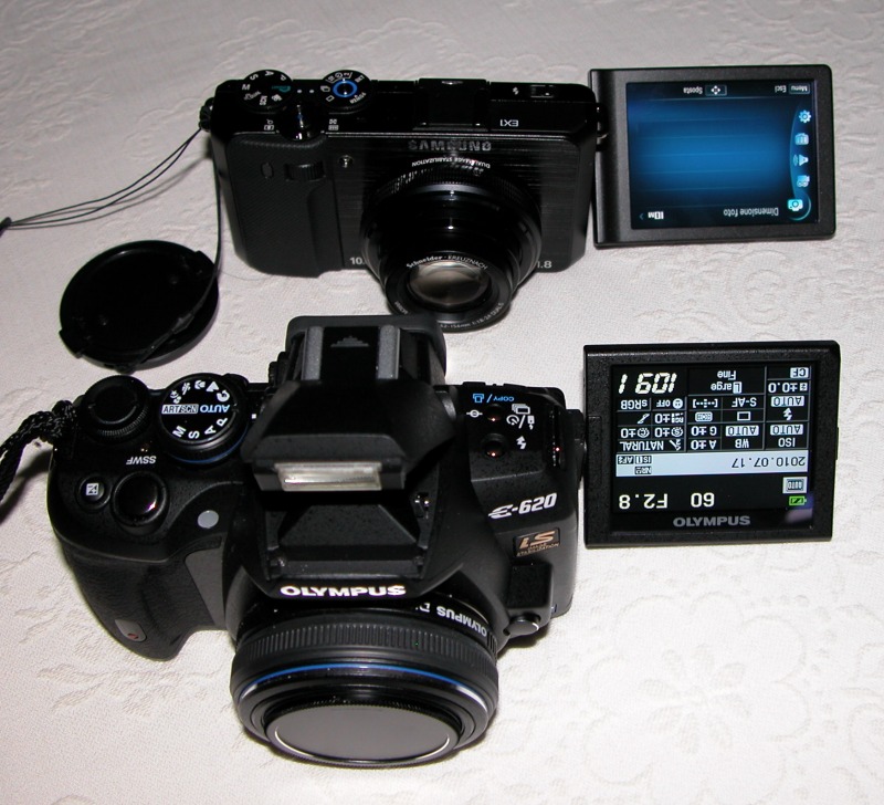 e620 con 25mm e EX1 display.jpg
