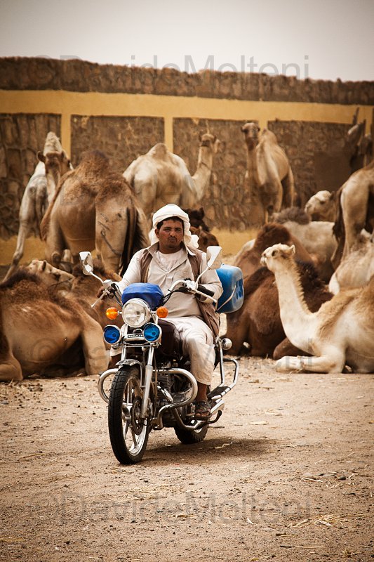 Easy Rider.jpg