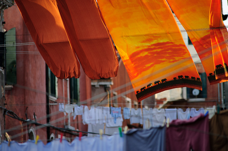 Elefanti a Venezia.jpg