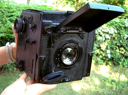 Ensing-spec.-3.gif