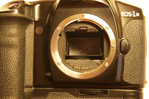 EOS1N_D.jpg