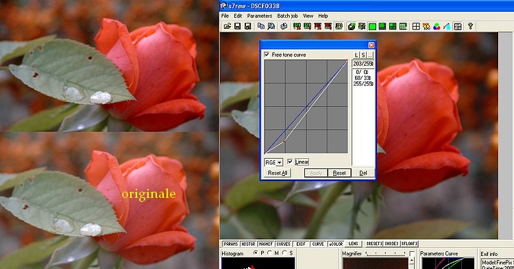 Esempio applicativo 7 - Curva -.jpg