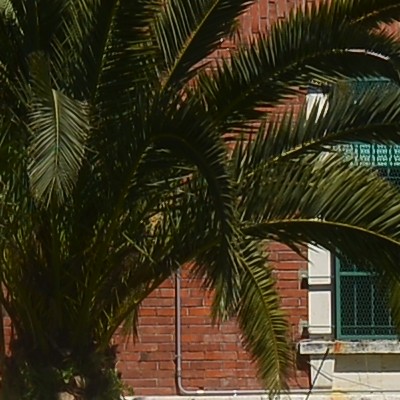 f56 centro.JPG