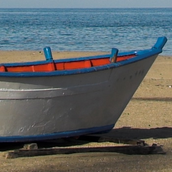 f6.3 centro.jpg