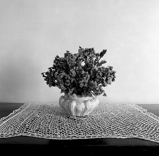 fiori.jpg