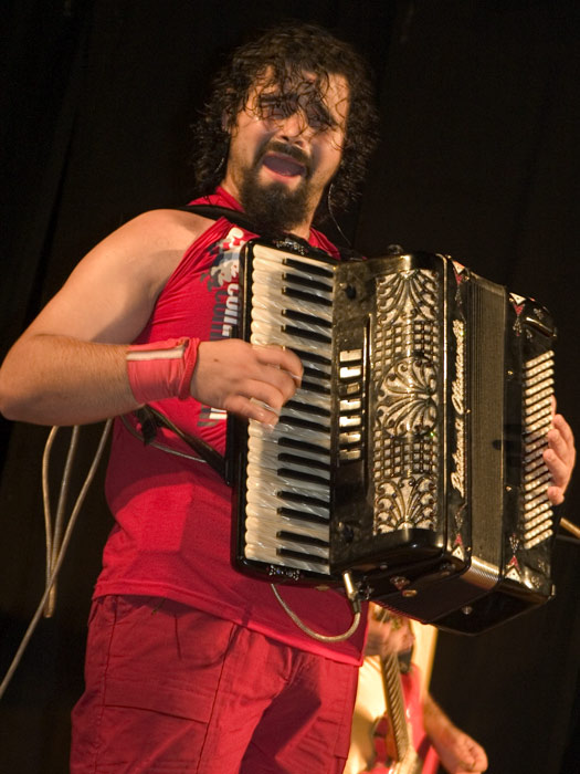 Fisarmonicista (1).jpg