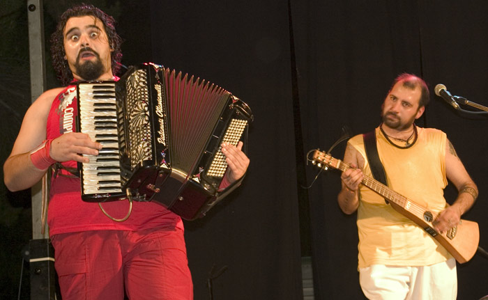 Fisarmonicista (2).jpg