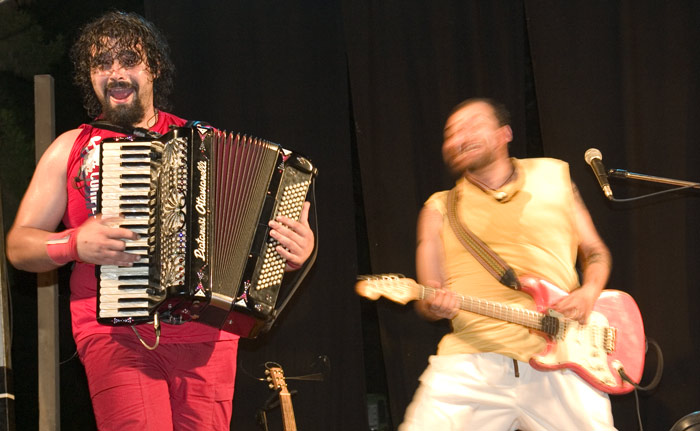 Fisarmonicista (4).jpg