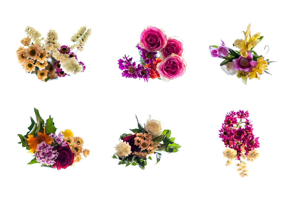 flowers2w.jpg