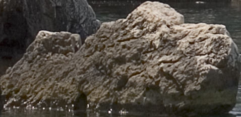 FocalBladeCROP.jpg