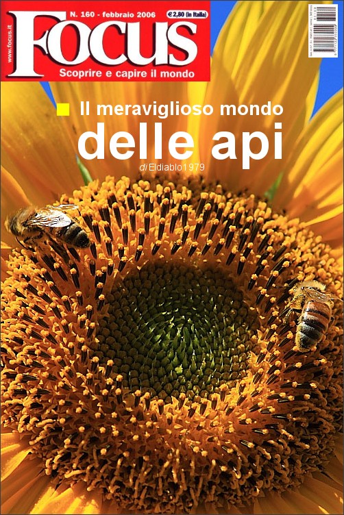 focus_api.jpg