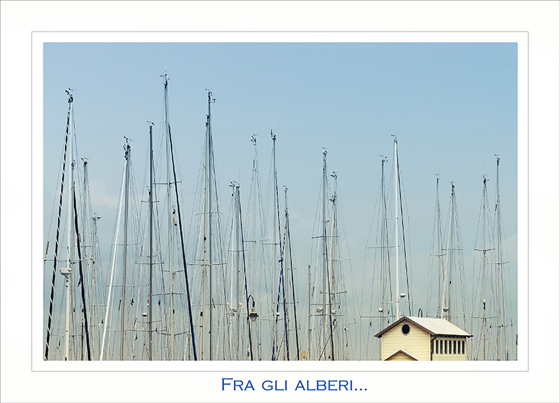 Fragli-alberi..senza-orizzonte.jpg