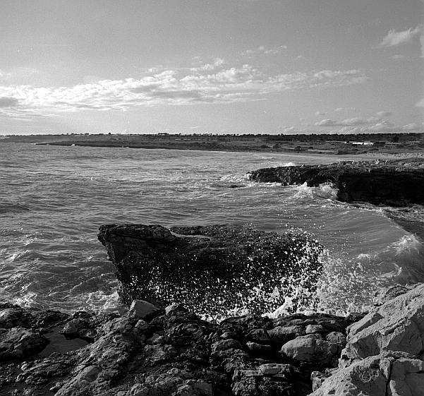 fsf-flektoneg leggera.jpg