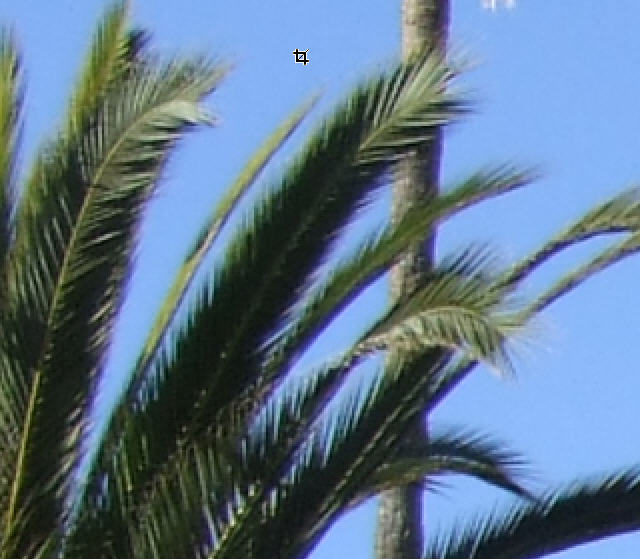 fuji7.jpg