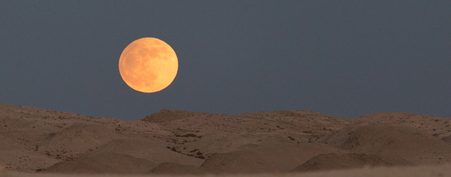Full moon in the desert.jpg
