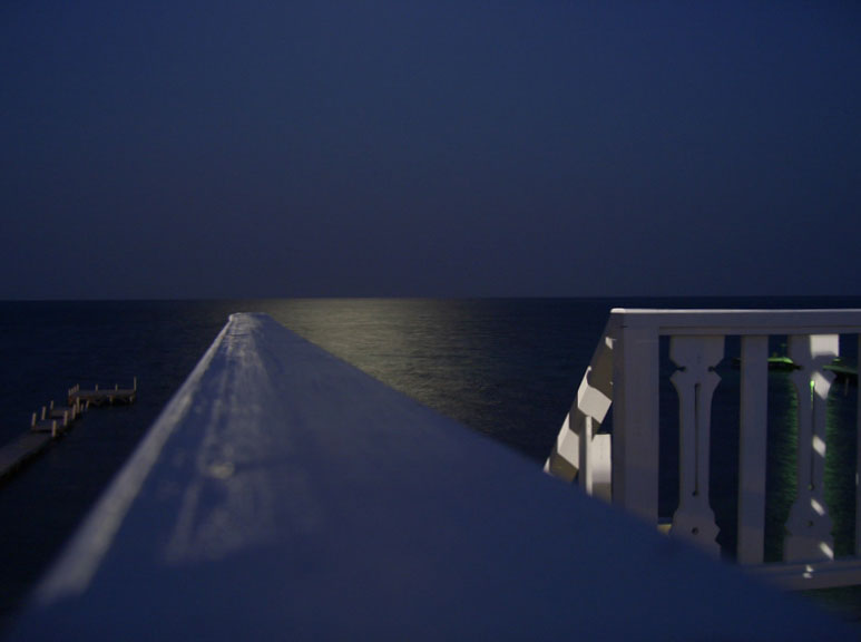 GBM-2005-(1217)www.jpg
