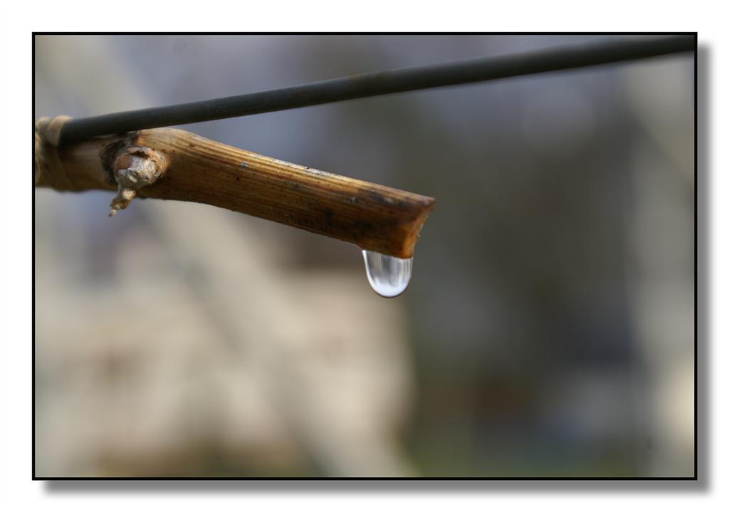 goccia07 (Large).jpg