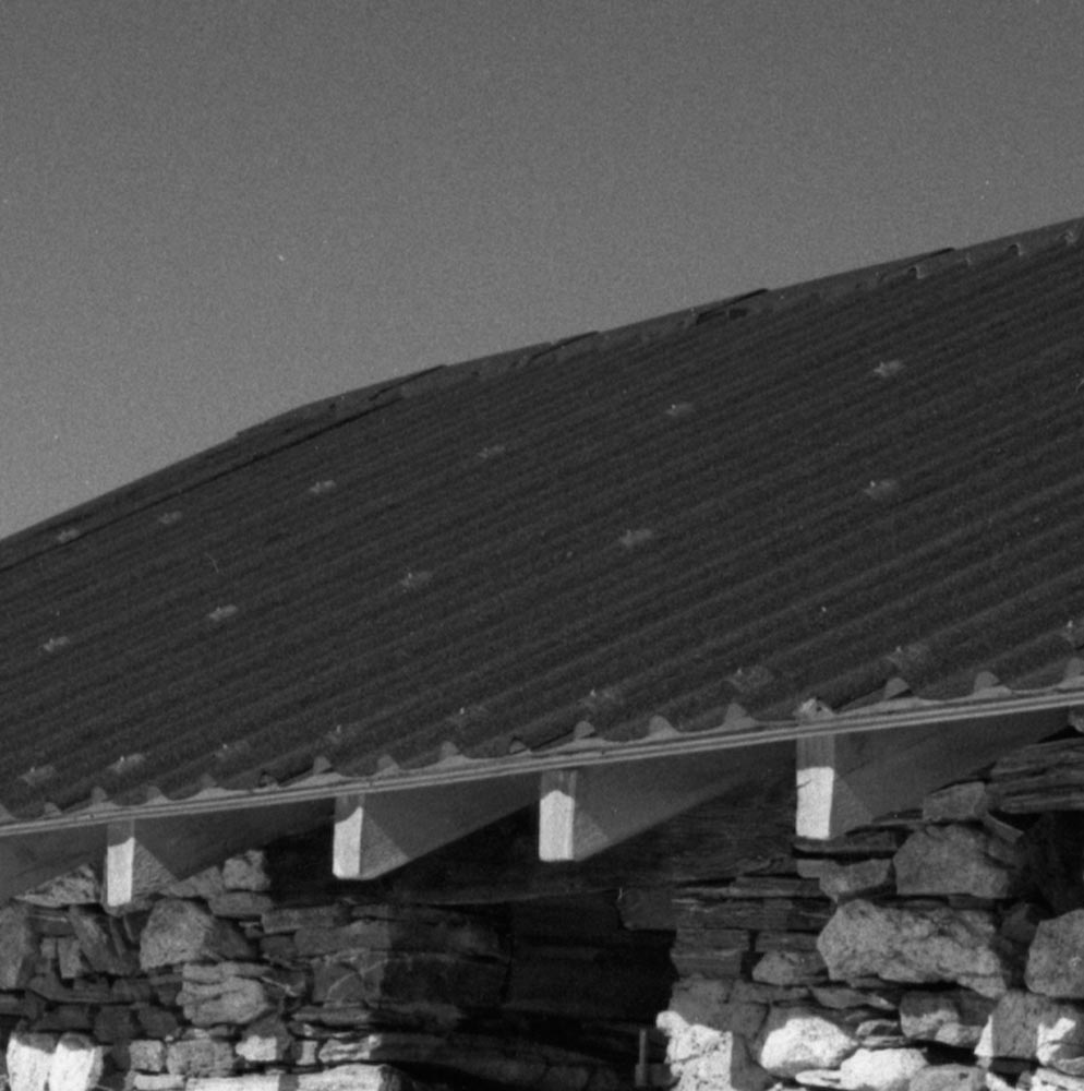 Grana 2 (1 of 1).jpg