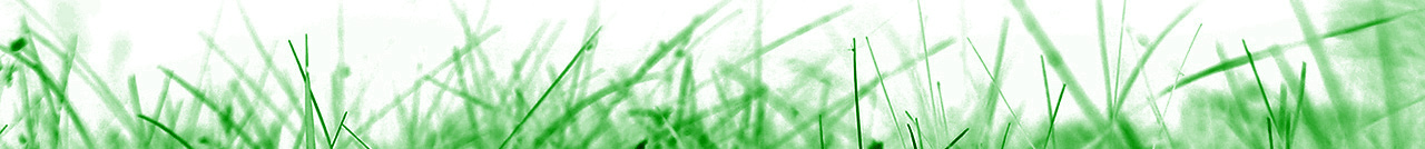 green2.jpg