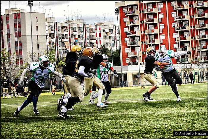 GREEN HAWKS (11).jpg