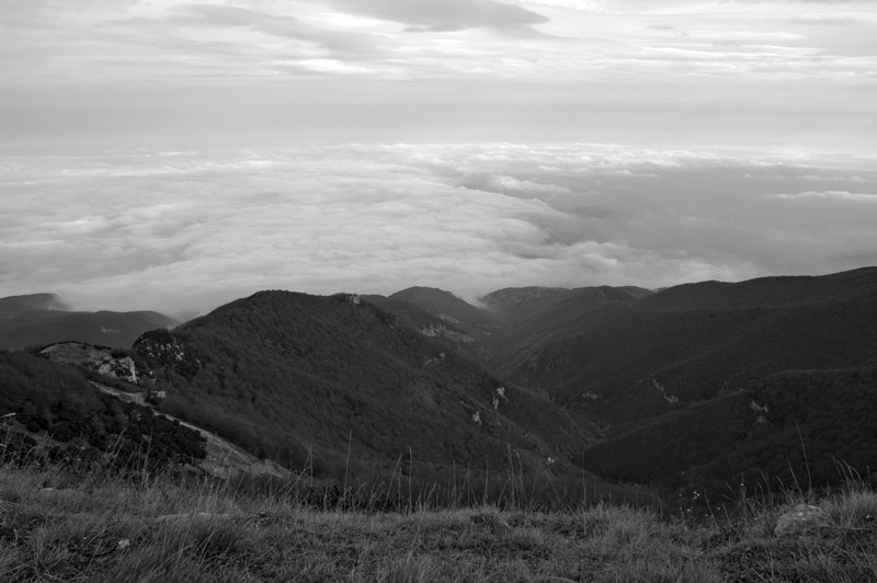 greyscale.jpg