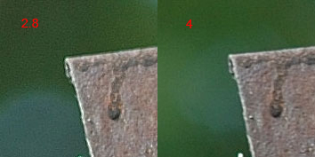 grondaia crop.jpg