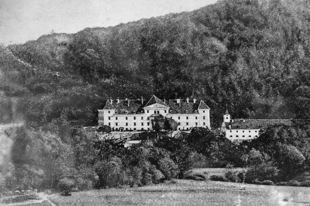 Haasberg Castle x.JPG