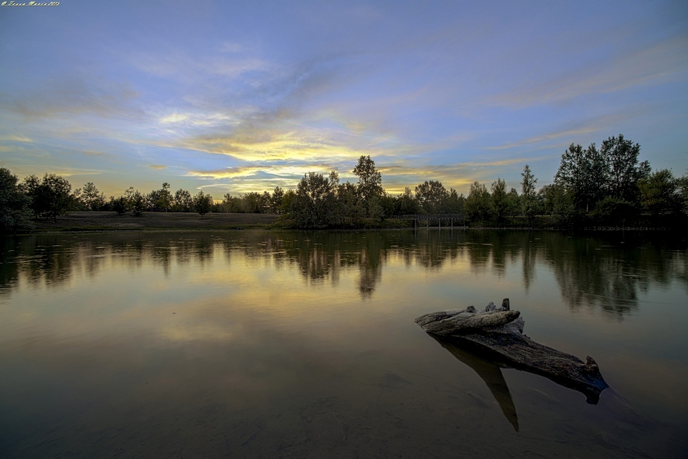 HDR_senza titolo2provainizioFINITA1200sciariscotronco.jpg