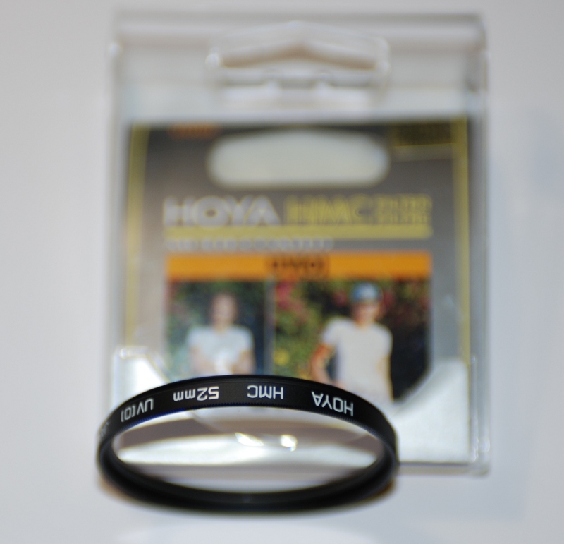 hoya52.JPG