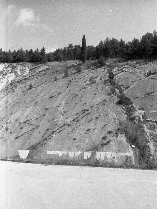 hp5 400@200 microphen 1+3.jpg