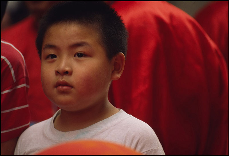 i figli del drago.jpg