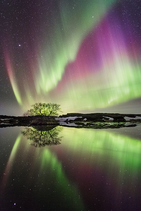 Iceland-Night-1.jpg