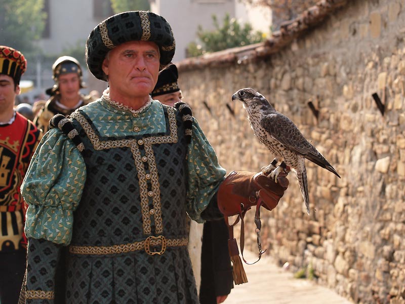 Il-falconiere.jpg