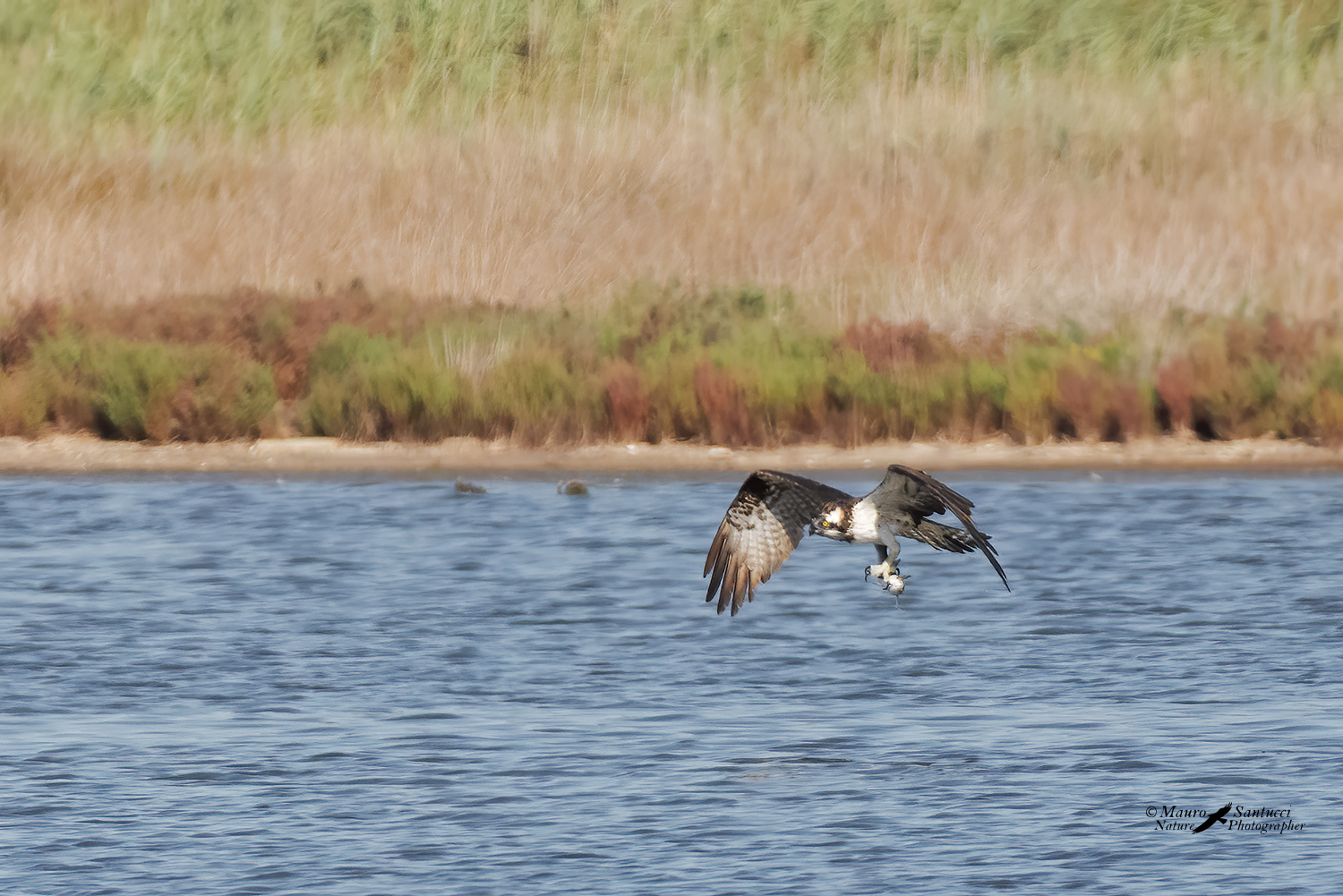 Il-pescatore-8_DSC6964.jpg