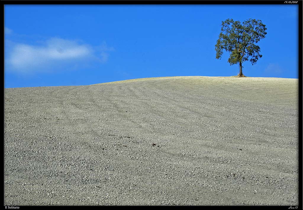 Il Solitario 02 copia.jpg