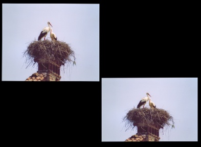 Image0.jpg