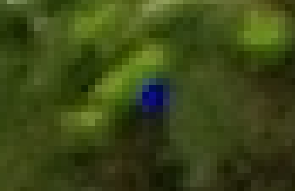 Image3.jpg